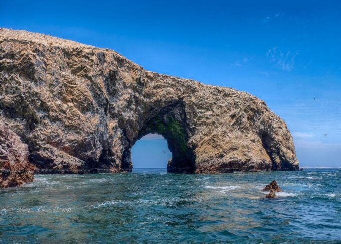 Ballestas Islands and Huacachina Oasis Half-Day Tour - Inclusions and Exclusions