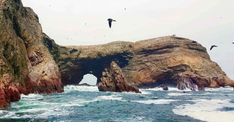 Ballestas Islands and Paracas National Reserve (6 Hrs) - Itinerary Highlights