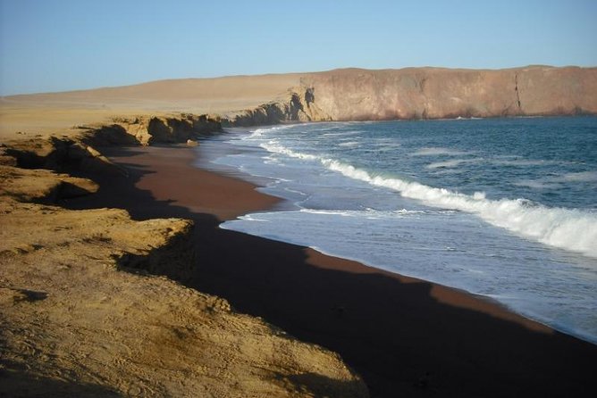 Ballestas Islands and Paracas National Reserve Day Trip From Paracas - Centro De Interpretacion Highlights