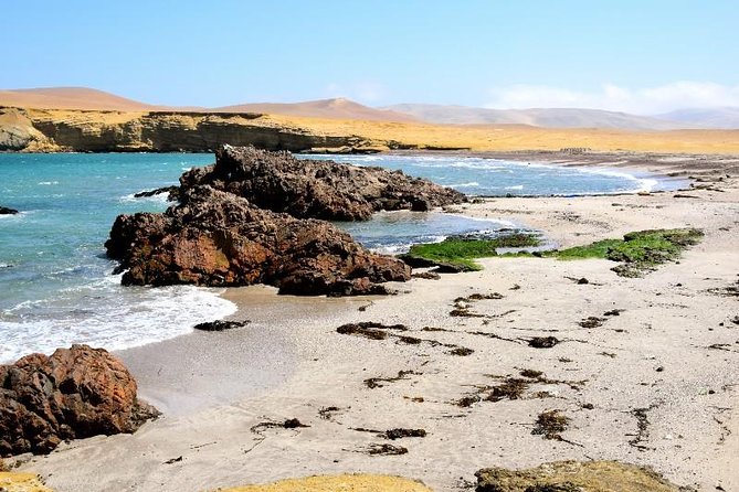 Ballestas Islands and Paracas National Reserve Day Trip From Paracas - Trip Recommendations and Tips