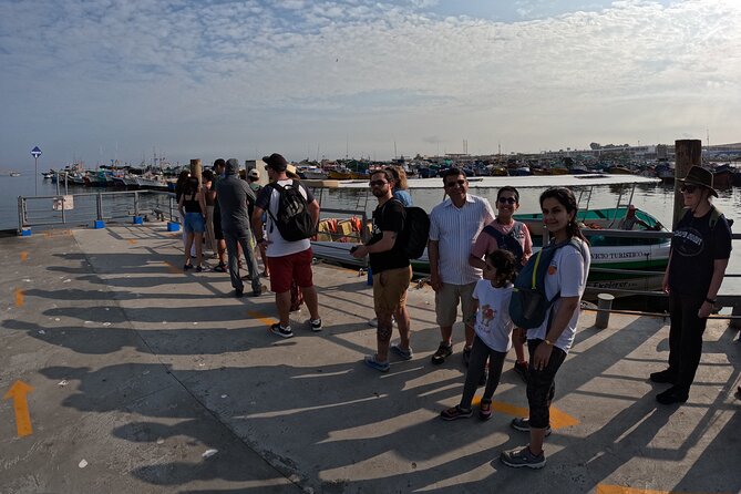 Ballestas Islands and Paracas Reserve Expedition From Ica Group - Reviews and Feedback