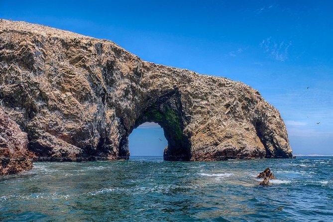 Ballestas Islands and Paracas Reserve From San Martin Port - Meeting Points and Details
