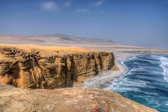 Ballestas Islands and Paracas Reserve From San Martin Port - Wildlife Sightings