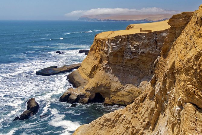 Ballestas Islands and Paracas Reserve From San Martin Port - Guide Expertise