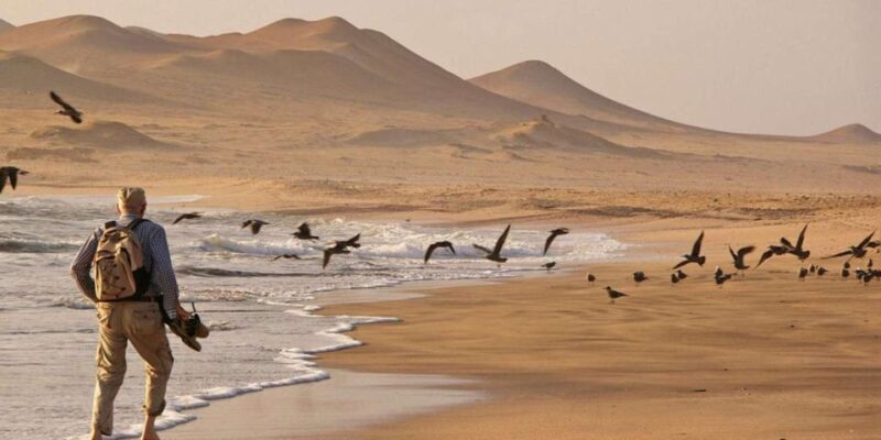Ballestas Islands and Paracas Reserve - Full Day Escape - Transportation and Pickup