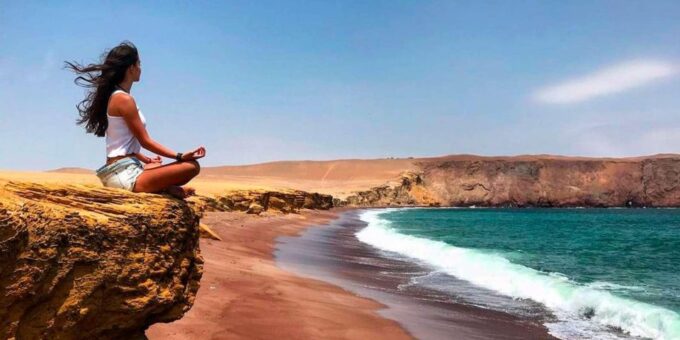 Ballestas Islands and Paracas Reserve - Full Day Escape - Wildlife Viewing
