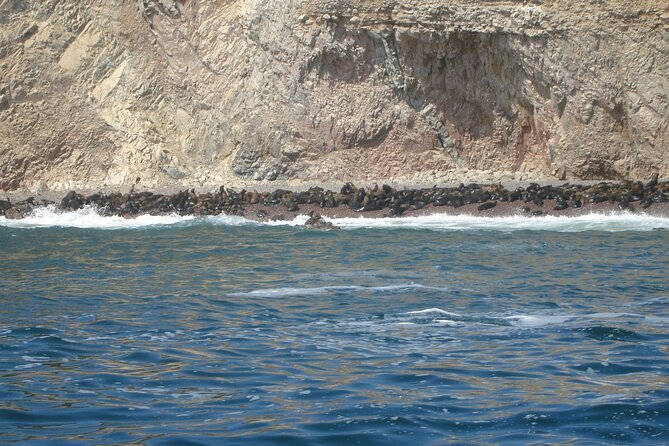 Ballestas Islands and Paracas Reserve Tour From San Martín Cruise - Ballestas Islands Exploration