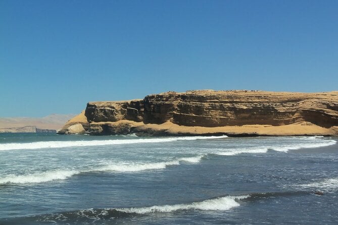 Ballestas Islands and Paracas Reserve Tour From San Martín Cruise - Guides and Group Service
