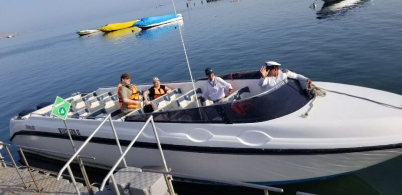 Ballestas Islands and Tambo Colorado From San Martin Port - Customer Reviews