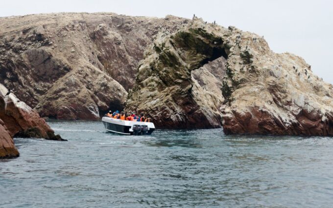 Ballestas Islands and Tambo Colorado From San Martin Port - Frequently Asked Questions
