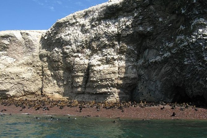 Ballestas Islands Boat Tour in Paracas - Preparation and Recommendations