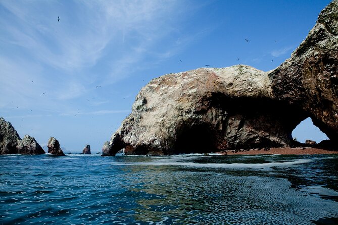 Ballestas Islands Boat Tour in Paracas - Traveler Restrictions