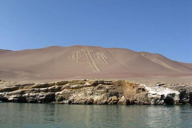 Ballestas Islands Boat Tour in Paracas - Ratings and Reviews