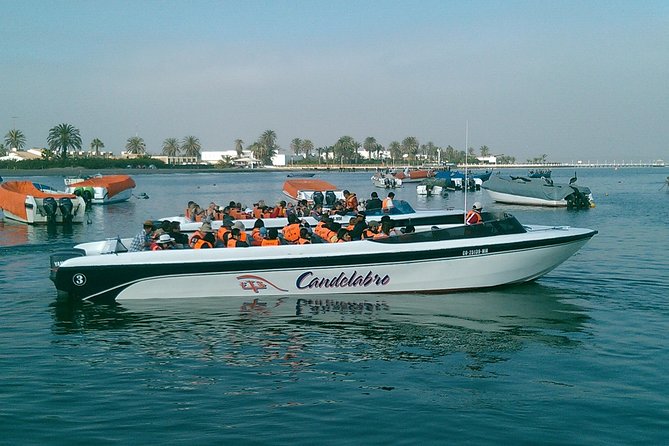 Ballestas Islands Boat Tour in Paracas - Exploring the Ballestas Islands
