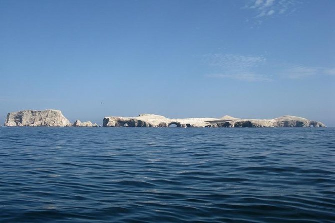 Ballestas Islands Boat Tour in Paracas - Boat Tour Experience