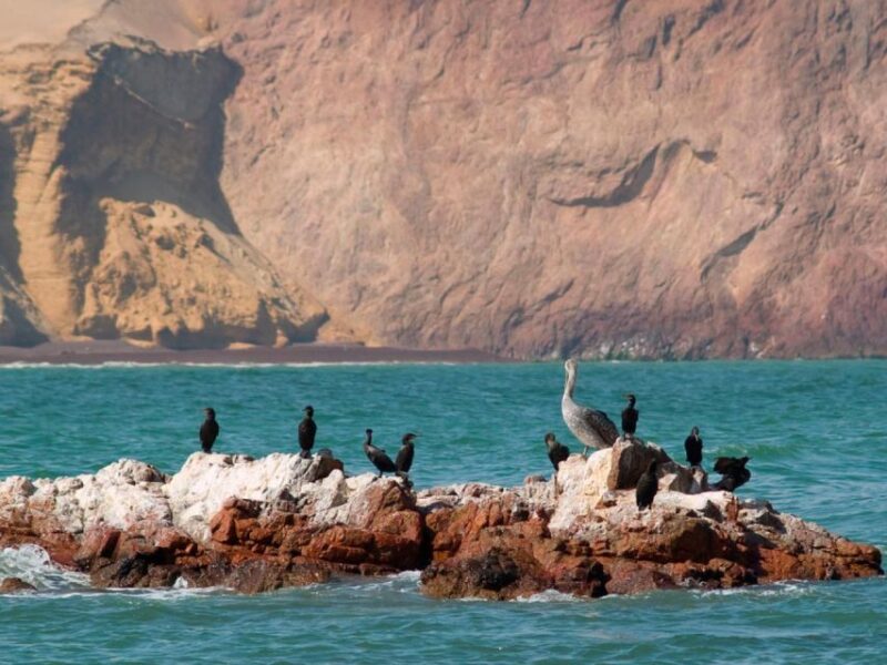Ballestas Islands Full Day - Inclusions