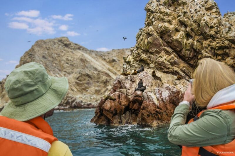 Ballestas Islands Full Day - Wildlife and Nature
