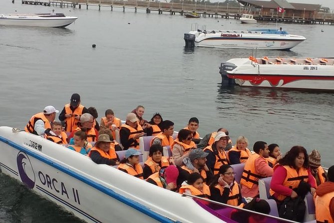 Ballestas Islands Group Tour From Paracas - Included and Additional Information