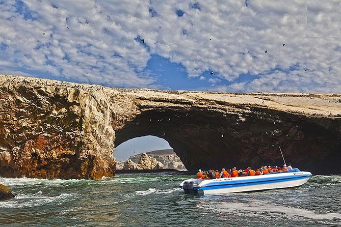 Ballestas Islands Group Tour From San Martin Port - Wildlife and Attractions