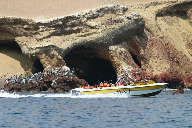 Ballestas Islands, Huacachina - Lima - Pricing and Policies