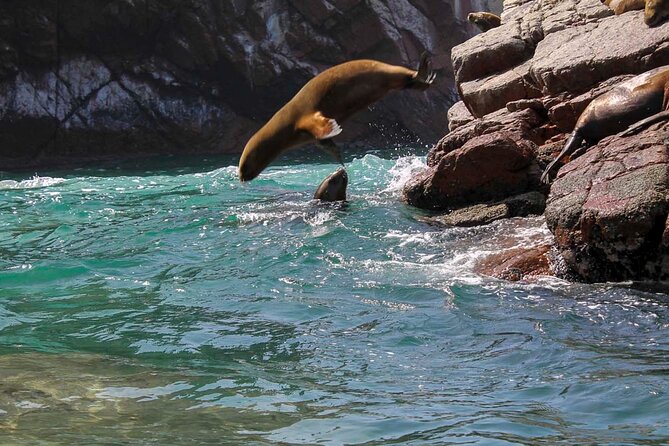 Ballestas Islands & National Reserve of Paracas From Ica - Transportation and Accessibility