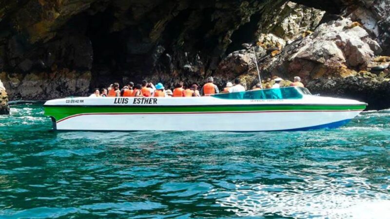 Ballestas Islands & Paracas National Reserve From Paracas - Paracas National Reserve