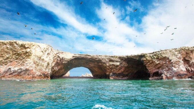 Ballestas Islands & Paracas National Reserve From Paracas - Customer Recommendations and Reviews