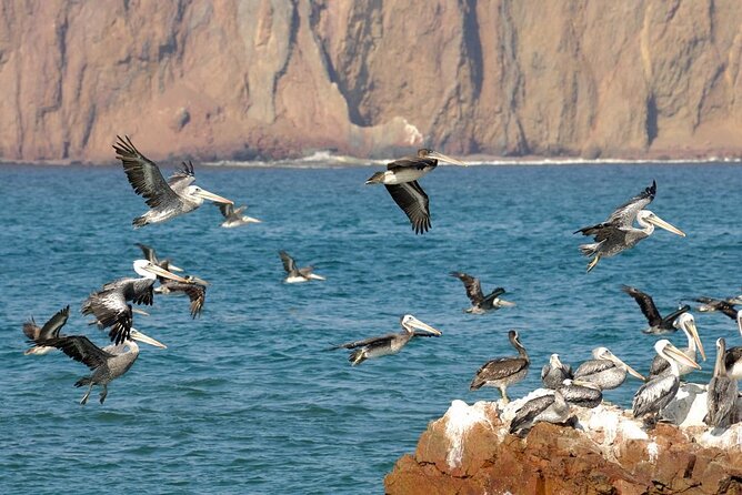 Ballestas Islands Tour Boat With Roof - Meeting Information