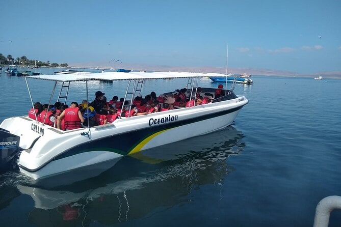 Ballestas Islands Tour for Passengers of the Puerto San Martin Cruise - Navigating the Paracas National Reserve