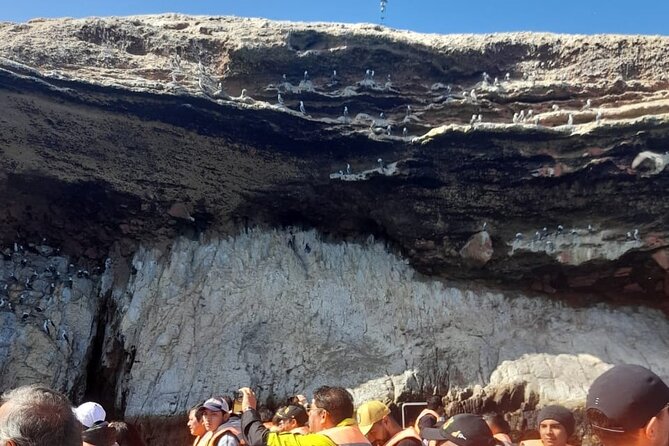 Ballestas Islands Tour From Puerto San Martin Cruise - Tour Overview