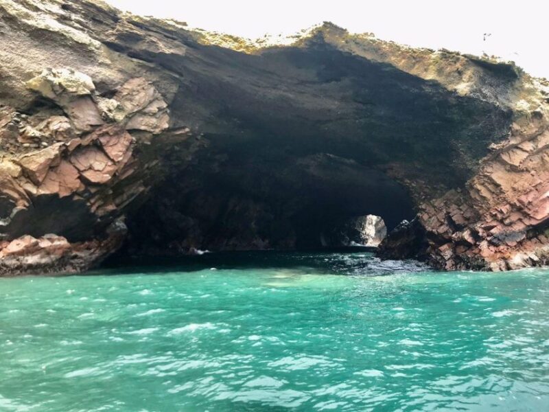 Ballestas Islands Tour - Paracas - Experience Highlights