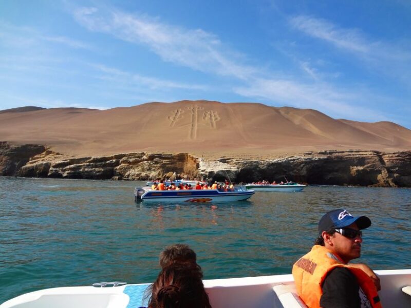Ballestas Islands Tour - Highlights