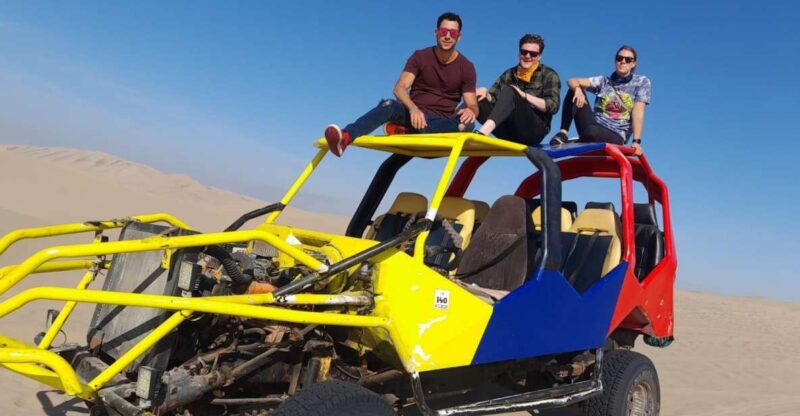 Ballestas Islands, Winery & Huacachina Oasis Private Tour - Itinerary Highlights