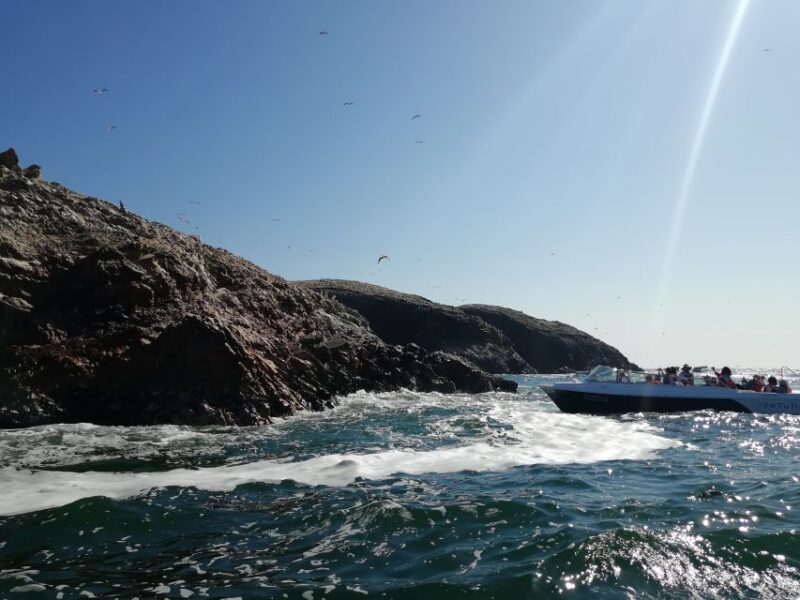 Ballestas Islands, Winery & Huacachina Oasis Private Tour - Winery Tour and Tasting