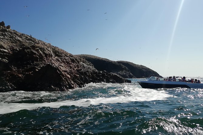 Ballestas Islands, Winery & Nazca Lines Private Tour From Lima - Personalized Private Experience