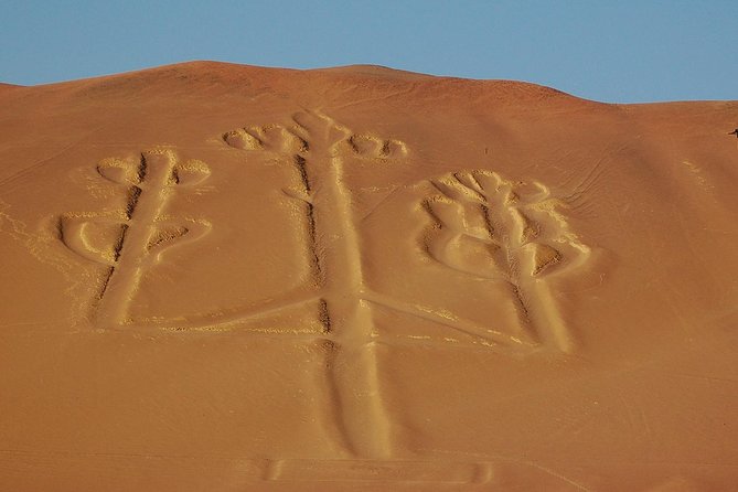 Ballestas Islands, Winery & Nazca Lines Private Tour From Lima - Pickup and Transportation Details