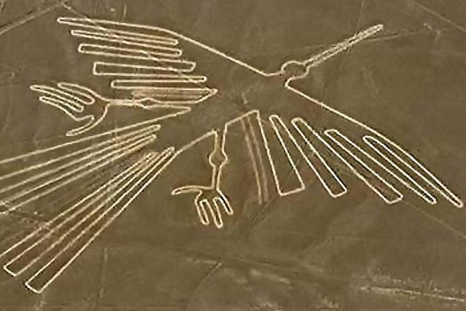 Ballestas, Paracas, Nazca Lines & Huacachina - 2 Days Experience - Overview of the Experience