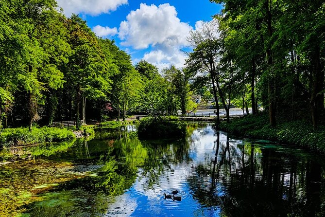 Ballina Treasure Hunt - Self-Guided Outdoor Game in Belleek Woods - Booking and Confirmation
