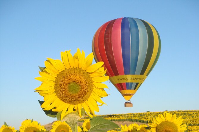 Balloon Rides in Segovia With Optional Transportation From Madrid - Unparalleled Aerial Views
