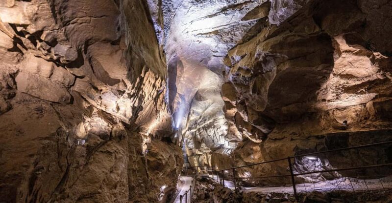 Ballyvaughan: Aillwee Burren Experience Entry Ticket - Aillwee Cave Tour