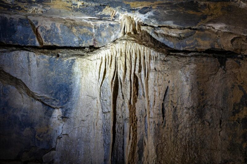 Ballyvaughan: Aillwee Burren Experience Entry Ticket - Important Information