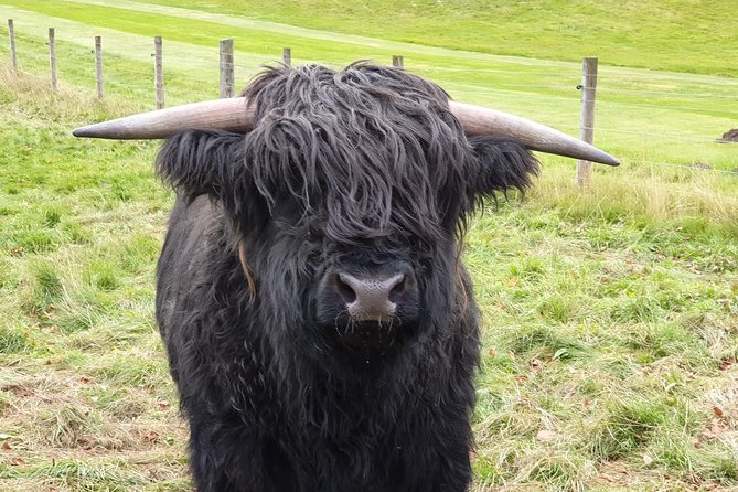 Balmoral Castle Tour From Inverness - Exploring Balmoral Castle