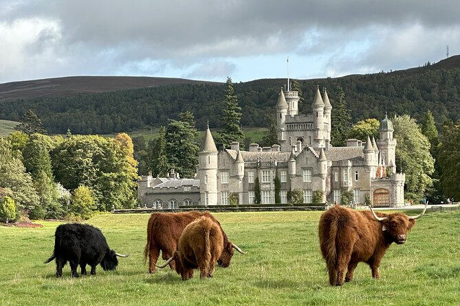 Balmoral & Royal Deeside Tour - Customer Feedback