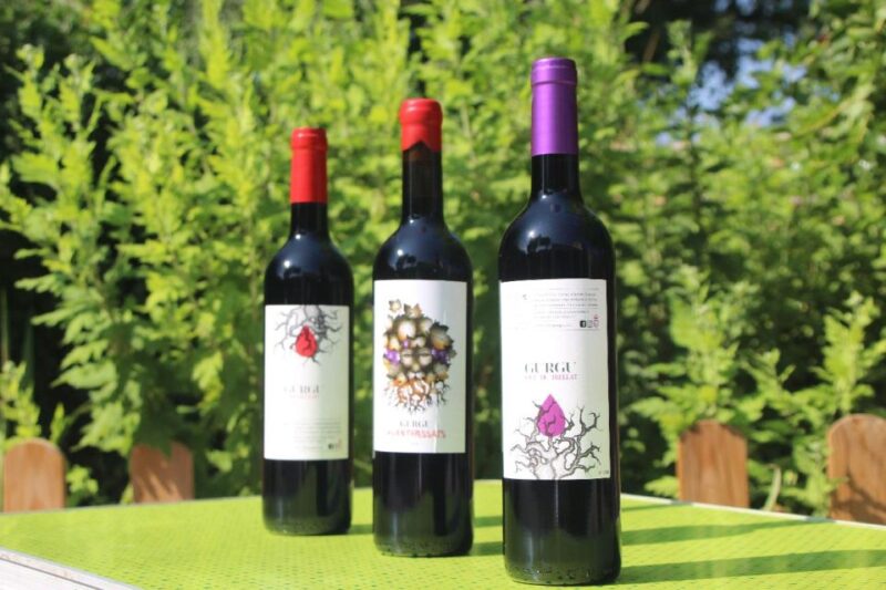 Balones: Guided Tour & Food Pairing With Local Oils & Wines - Balones Town Center and Audiovisual Presentation