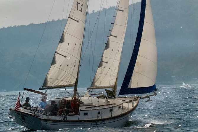 Baltimore Inner Harbor BYOB Sunset Sail on the Unforgettable - Meeting and Logistics