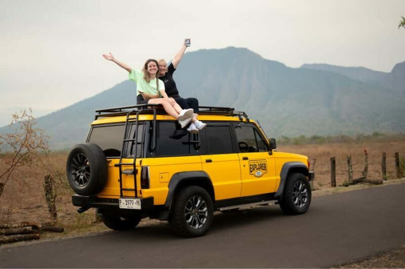 Baluran National Park Jeep Tour With Experienced Guide - Final Thoughts
