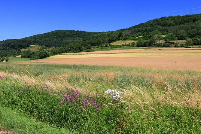 Bamberg Countryside Breweries Beer Hike Food Experience (departs Bamberg) - Breweries and Brewpubs Visited