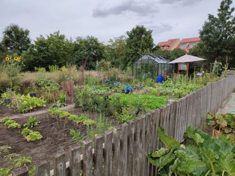 Bamberg: Guided Tour of the Gardeners District - Meeting Point and Important Information