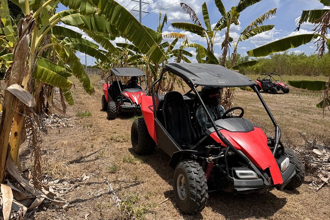 Bamboo Dune Buggy Tour - What to Expect on the Dune Buggy Tour