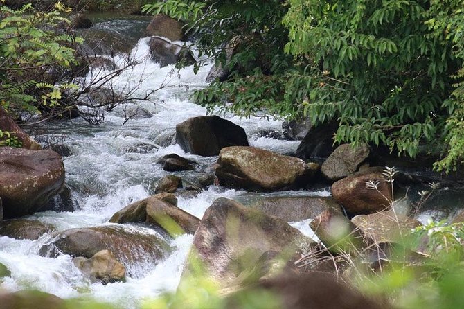 Bamboo Rafting, ATV Riding and Zip Line Tour From Phuket - Bamboo Rafting Experience
